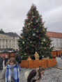 /album/literabus-brno-2025/1764318070585-jpg1/